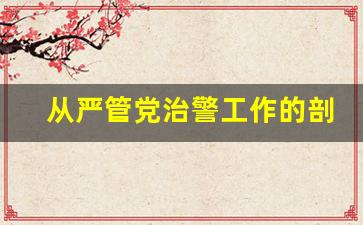 从严管党治警工作的剖析材料_从严管党治警措施实