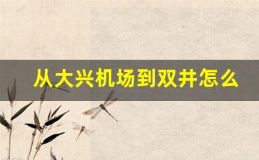 从大兴机场到双井怎么走_大兴机场到王府井有多远