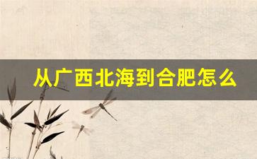 从广西北海到合肥怎么走_北海到合肥高铁时刻表