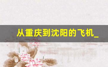 从重庆到沈阳的飞机_重庆到辽宁飞机票多少钱啊