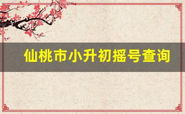 仙桃市小升初摇号查询官网