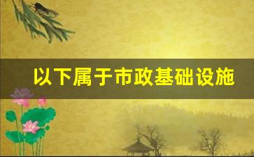 以下属于市政基础设施的是_基础设施不包括哪些