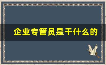 企业专管员是干什么的