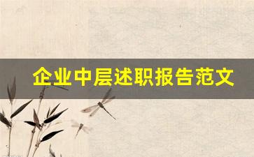 企业中层述职报告范文_2023年企业述职报告