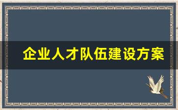 企业人才队伍建设方案