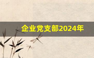 企业党支部2024年工作计划