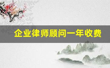 企业律师顾问一年收费标准_律师一年能挣100万吗