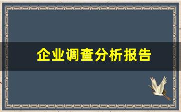 企业调查分析报告