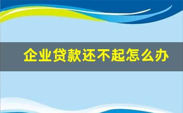 企业贷款还不起怎么办_企业借银行的钱还不上怎么办