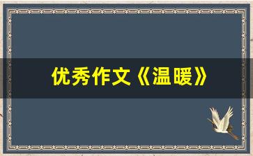 优秀作文《温暖》