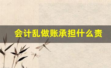 会计乱做账承担什么责任_21年的账错了23年能补救吗