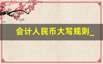 会计人民币大写规则_会计金额大写规范格式转化