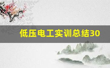 低压电工实训总结300字