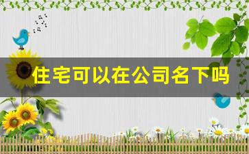 住宅可以在公司名下吗_以公司名义可以买住宅吗