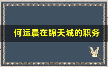 何运晨在锦天城的职务_何运晨是非诉律师吗