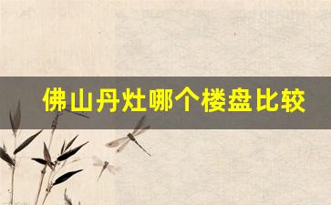 佛山丹灶哪个楼盘比较好_佛山二手房30万左右