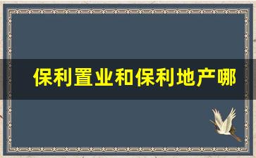 保利置业和保利地产哪个好