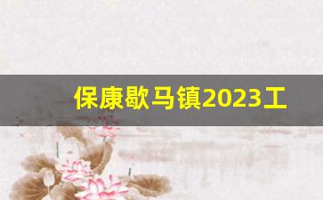 保康歇马镇2023工程_张家口康保县搬迁政策