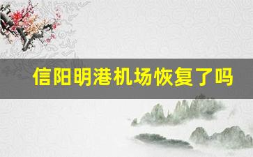 信阳明港机场恢复了吗_信阳明港机场二期扩建改造方案