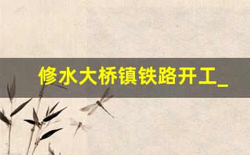 修水大桥镇铁路开工_九江修水2030规划图