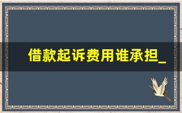 借款起诉费用谁承担_借钱起诉费是怎么收费的