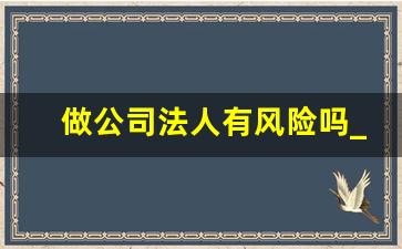 做公司法人有风险吗_做一个公司的法人有什么风险