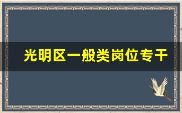 光明区一般类岗位专干工资标准