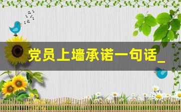 党员上墙承诺一句话_2023年党员承诺简短