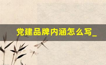 党建品牌内涵怎么写_党建品牌简介300字内容