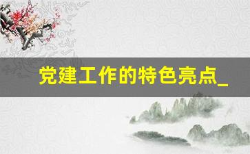 党建工作的特色亮点_党支部开展的特色活动