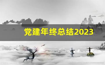 党建年终总结2023_党建年中总结2023