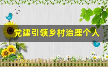 党建引领乡村治理个人所思所悟_村书记抓党建促发展发言稿