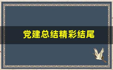 党建总结精彩结尾