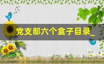 党支部六个盒子目录_党支部档案盒目录内容