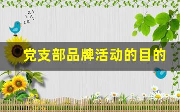 党支部品牌活动的目的和意义_党建品牌内涵怎么写