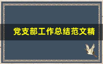 党支部工作总结范文精选14篇_基层党支部工作总结报告