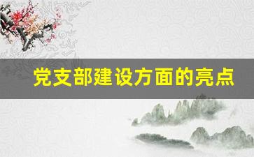 党支部建设方面的亮点_示范党支部特色亮点怎么写