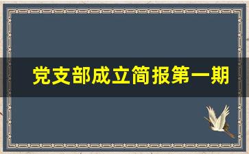 党支部成立简报第一期