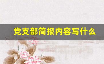 党支部简报内容写什么