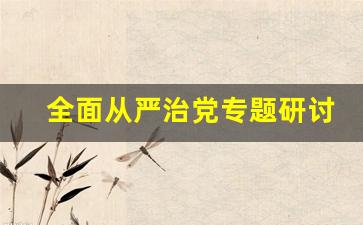 全面从严治党专题研讨发言内容_坚持和加强党的全面领导的心得体会