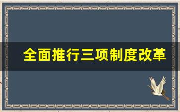 全面推行三项制度改革的意义_全面推行三项制度工作机制