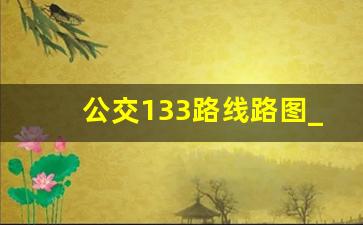 公交133路线路图_合肥133路公交车票价