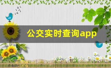 公交实时查询app