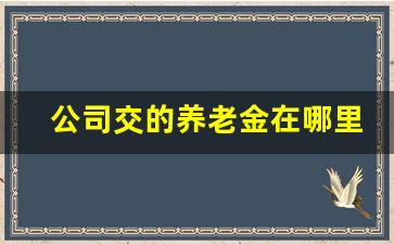 公司交的养老金在哪里查_单位缴纳养老金怎么查询明细