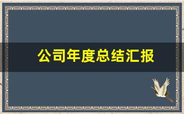 公司年度总结汇报