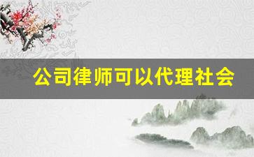 公司律师可以代理社会案子吗_公民个人代理法律规定