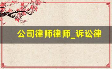 公司律师律师_诉讼律师