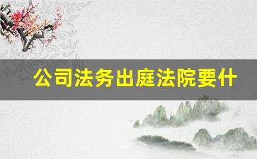 公司法务出庭法院要什么材料_公司法务查账要跟着开庭嘛