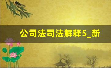 公司法司法解释5_新公司法修订