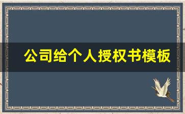 公司给个人授权书模板_个人委托收款授权书